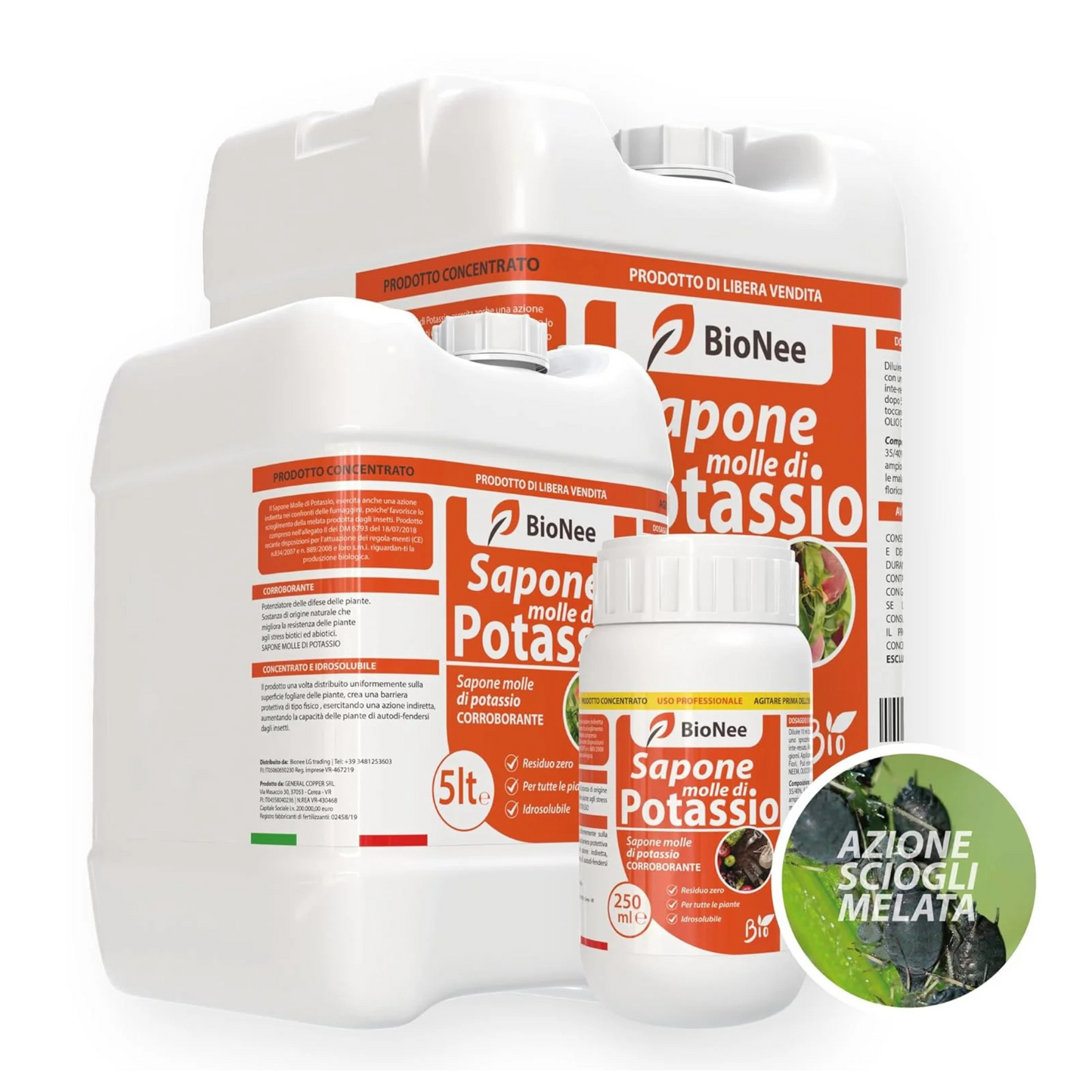 Sapone Molle Potassico per Piante (5 Litri) – Insetticida ad Azione Abbattente contro Afidi e Cocciniglia, con Effetto Corroborante Naturale e Azione Lavante sulla Melata