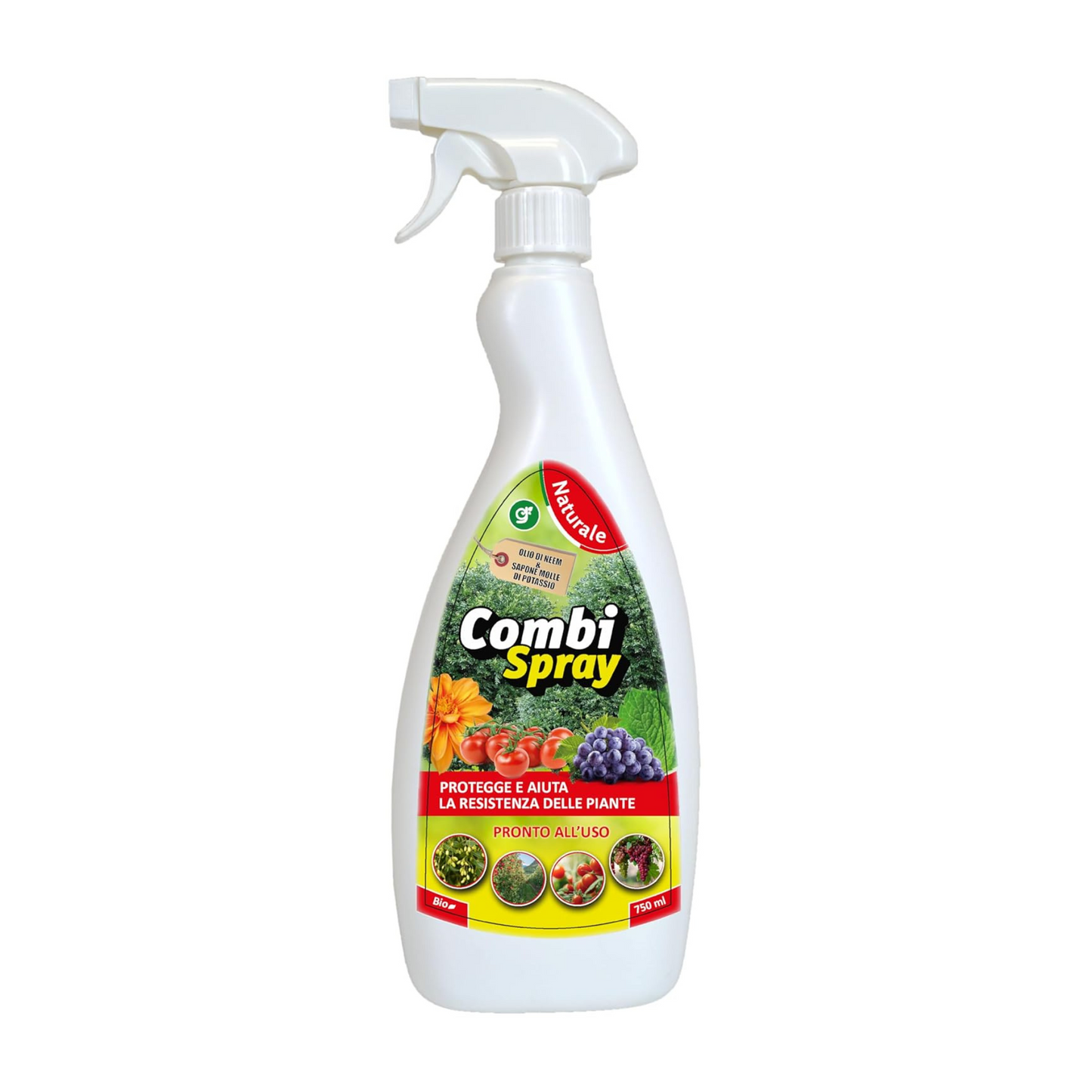 Olio di neem + sapone molle di potassio spray - potenziatone delle difese delle piante, naturale biologico 750 ml
