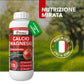BioNee Calcio Magnesio – Correttivo Liquido Calcio/Magnesio Concentrato per Squilibri Nutrizionali, Supporto Fisiopatie (Marciume Apicale, Tip Burn)
