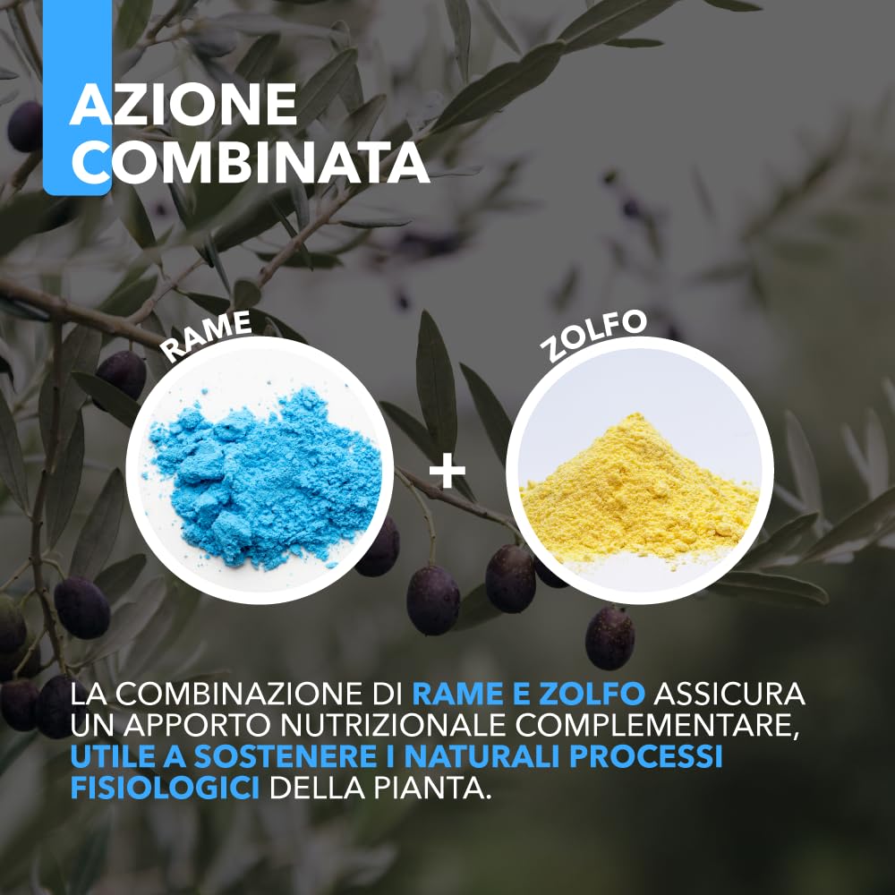 Rame Zolfo Nano Concentrato – Concime Inorganico Liquido-Gel a Base di Rame e Zolfo per Orto e Giardino