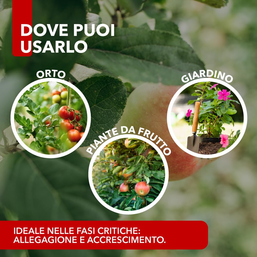 BioNee Calcio Magnesio – Correttivo Liquido Calcio/Magnesio Concentrato per Squilibri Nutrizionali, Supporto Fisiopatie (Marciume Apicale, Tip Burn)