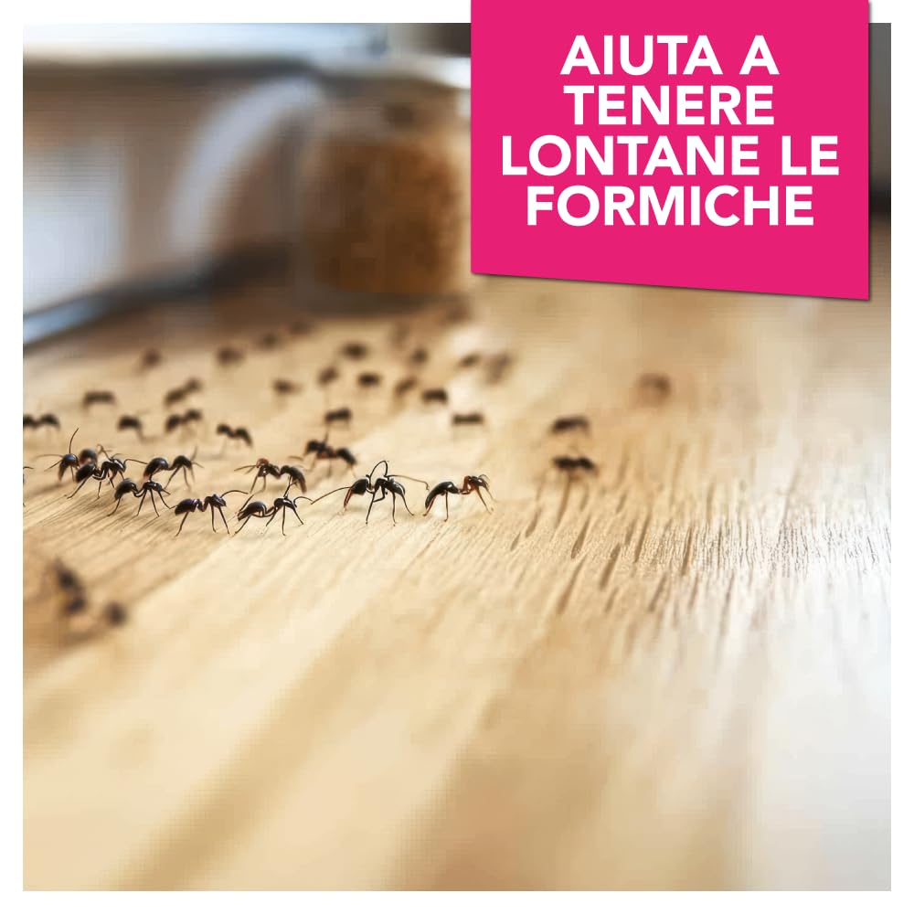 BioNee Formic Stop Spray Pronto all’Uso 500 ml – Barriera naturale per gli spazi di casa – per infissi, davanzali, balconi, tende e zanzariere – non unge, non macchia, idrosolubile