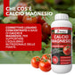 BioNee Calcio Magnesio – Correttivo Liquido Calcio/Magnesio Concentrato per Squilibri Nutrizionali, Supporto Fisiopatie (Marciume Apicale, Tip Burn)