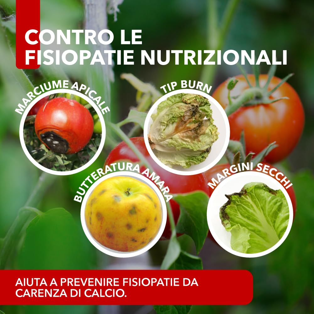 BioNee Calcio Magnesio – Correttivo Liquido Calcio/Magnesio Concentrato per Squilibri Nutrizionali, Supporto Fisiopatie (Marciume Apicale, Tip Burn)