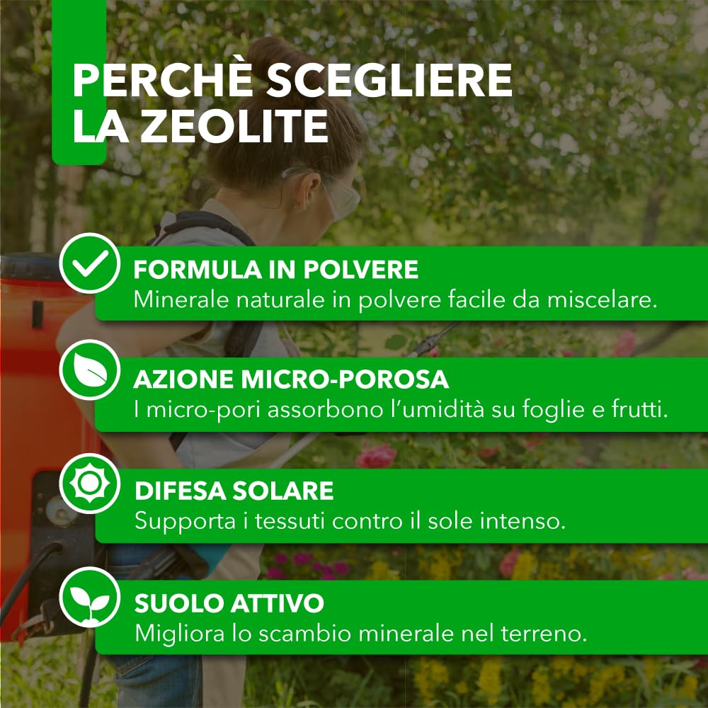 Zeolite BioNee 500 g – Polvere di Roccia Naturale Corroborante per Piante | Azione Igroscopica Anti-Umidità su Foglie e Frutti | Protegge da Stress Solare | Consentita in Agricoltura Biologica