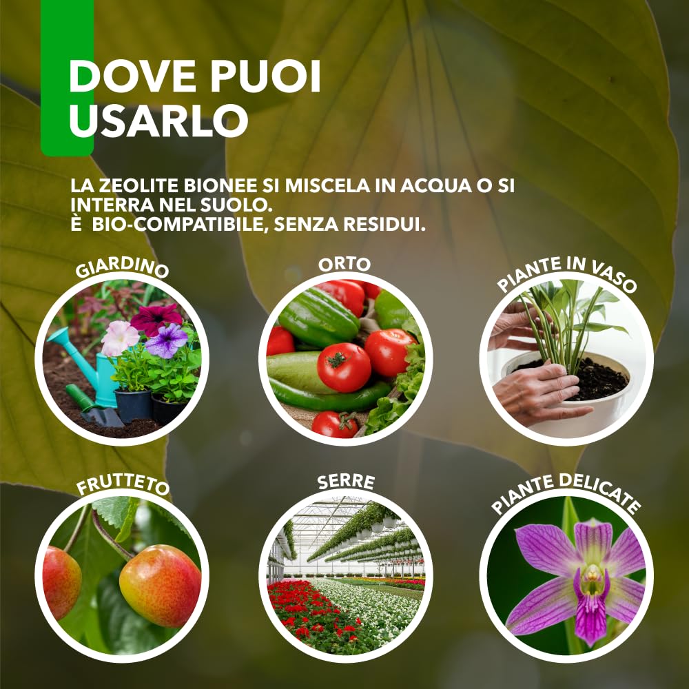 Zeolite BioNee 500 g – Polvere di Roccia Naturale Corroborante per Piante | Azione Igroscopica Anti-Umidità su Foglie e Frutti | Protegge da Stress Solare | Consentita in Agricoltura Biologica