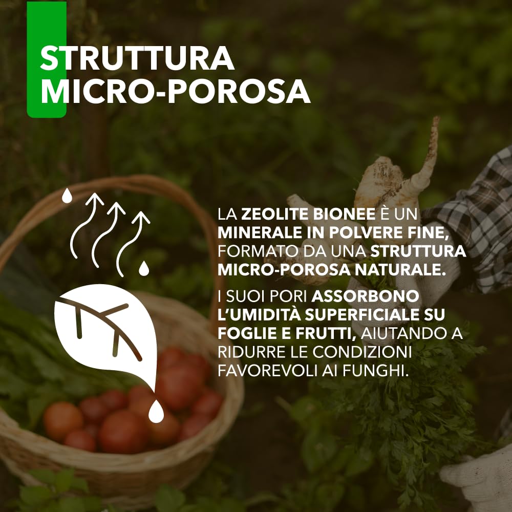 Zeolite BioNee 500 g – Polvere di Roccia Naturale Corroborante per Piante | Azione Igroscopica Anti-Umidità su Foglie e Frutti | Protegge da Stress Solare | Consentita in Agricoltura Biologica