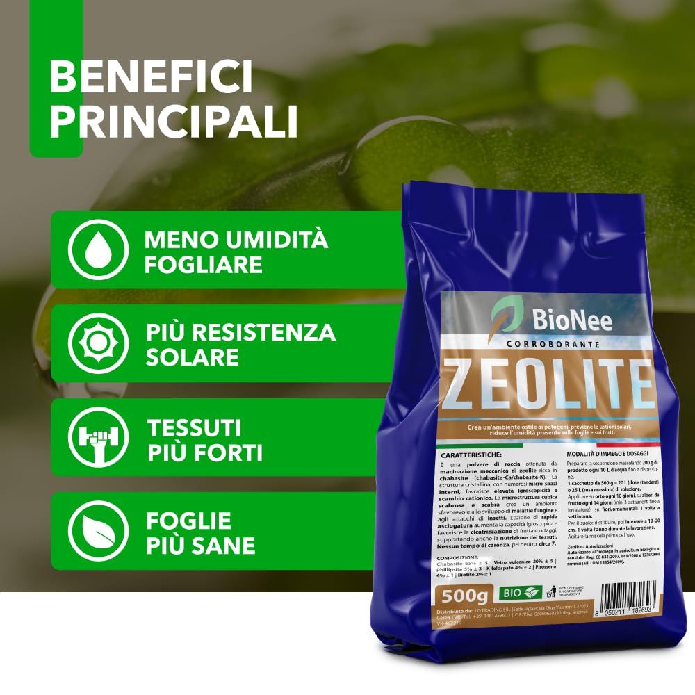 Zeolite BioNee 500 g – Polvere di Roccia Naturale Corroborante per Piante | Azione Igroscopica Anti-Umidità su Foglie e Frutti | Protegge da Stress Solare | Consentita in Agricoltura Biologica