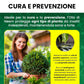 Olio di Neem - insetticida naturale Concentrato - biologico solubile in acqua (1 litro)