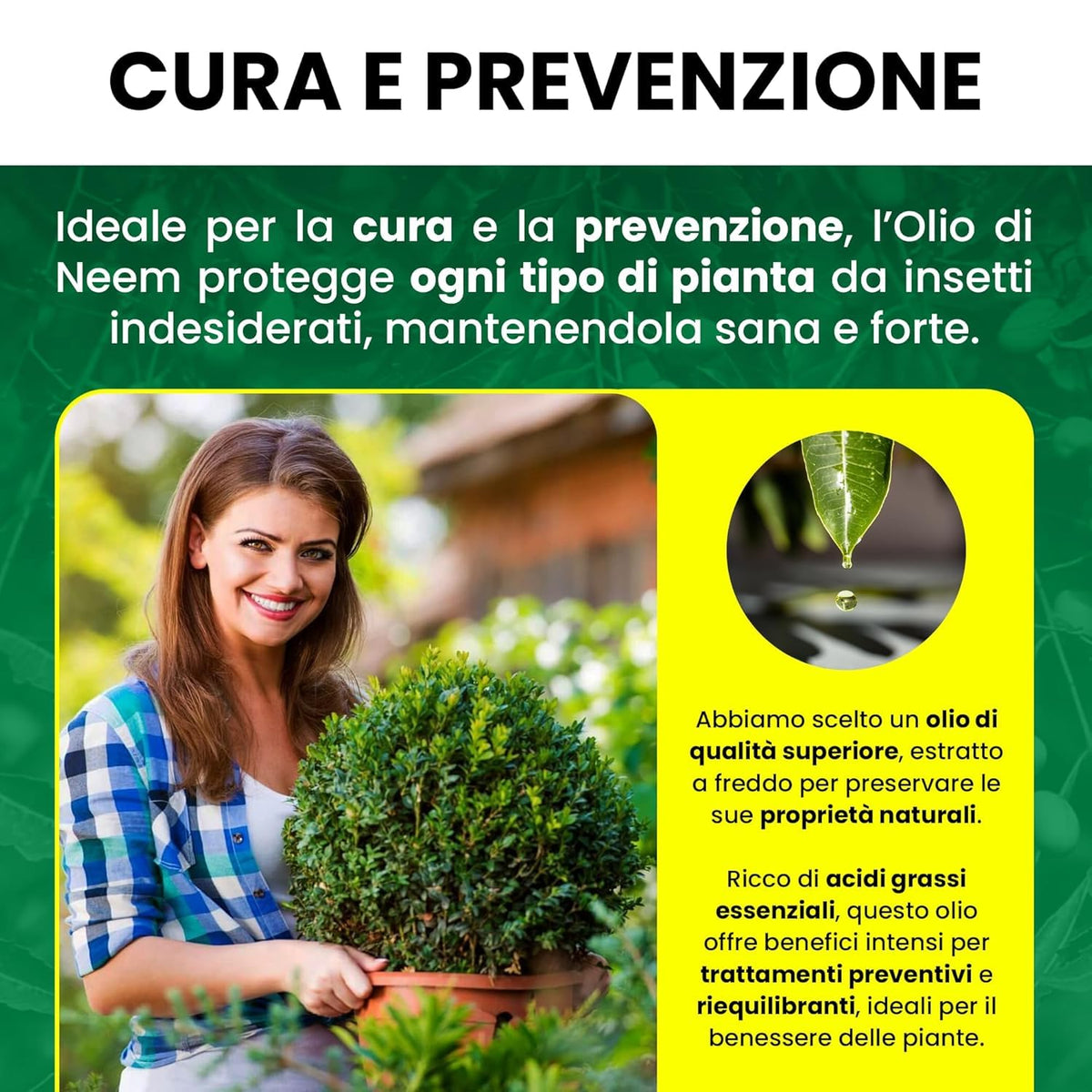 Olio di Neem - insetticida naturale Concentrato - biologico solubile in acqua (1 litro)