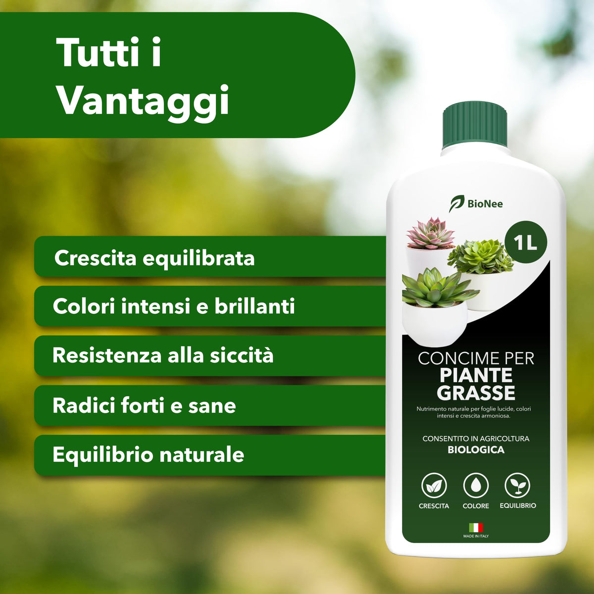 BioNee Concime Biologico per Piante Grasse 1L – Nutrimento Naturale per Cactus e Succulente | Favorisce Colori Intensi, Foglie Lucide e Crescita Armoniosa