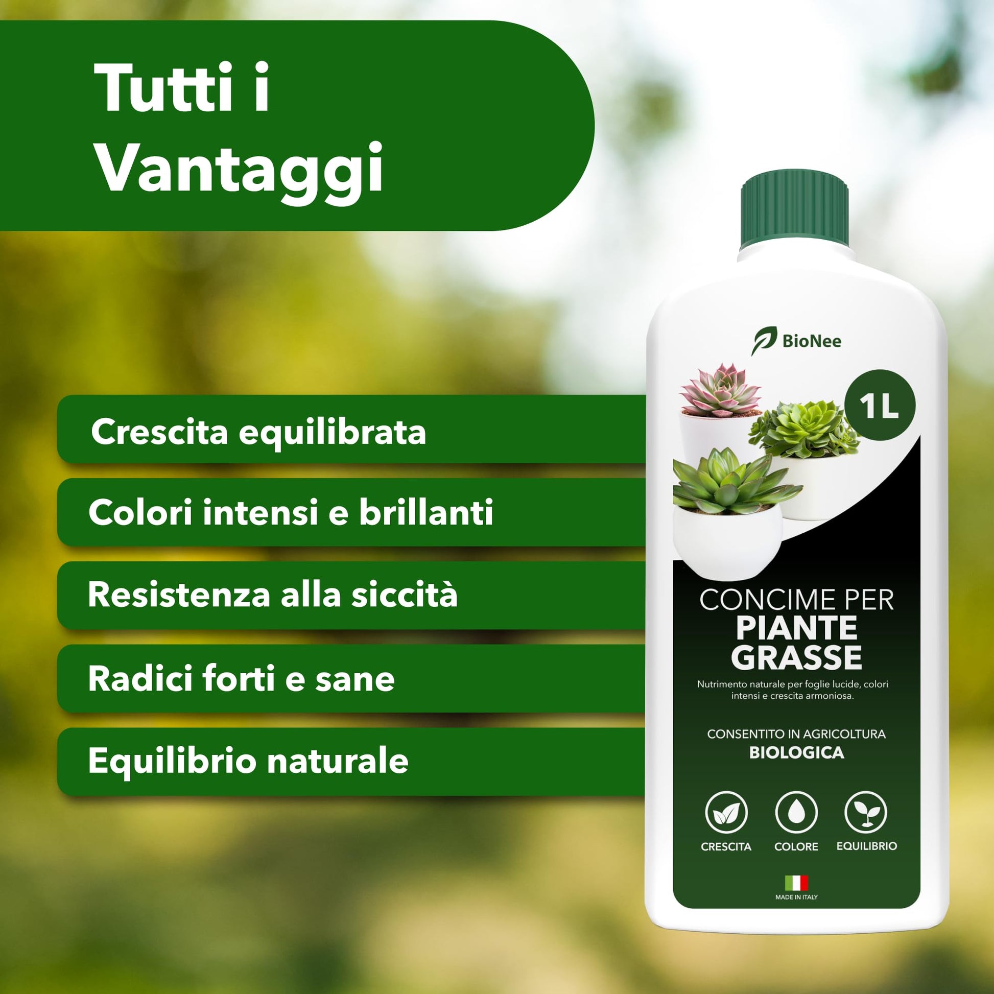 BioNee Concime Biologico per Piante Grasse 1L – Nutrimento Naturale per Cactus e Succulente | Favorisce Colori Intensi, Foglie Lucide e Crescita Armoniosa