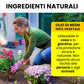 Olio di Neem - insetticida naturale Concentrato - biologico solubile in acqua (1 litro)
