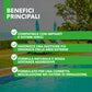 BioNee Olio di Neem Speciale Irrigazione 1L – Concentrato Idrodispersibile per Sistemi di Irrigazione e Aree Verdi