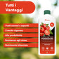 BioNee Concime Biologico per Pomodori 1L – Nutrimento Naturale per Piante Produttive e Frutti Carnosi | Esalta Colore, Gusto e Vigore | Consentito in Agricoltura Biologica