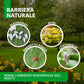 Terre di Diatomee BioNee – Corroborante Naturale per Piante – Uso Orto e Giardino 1 kg