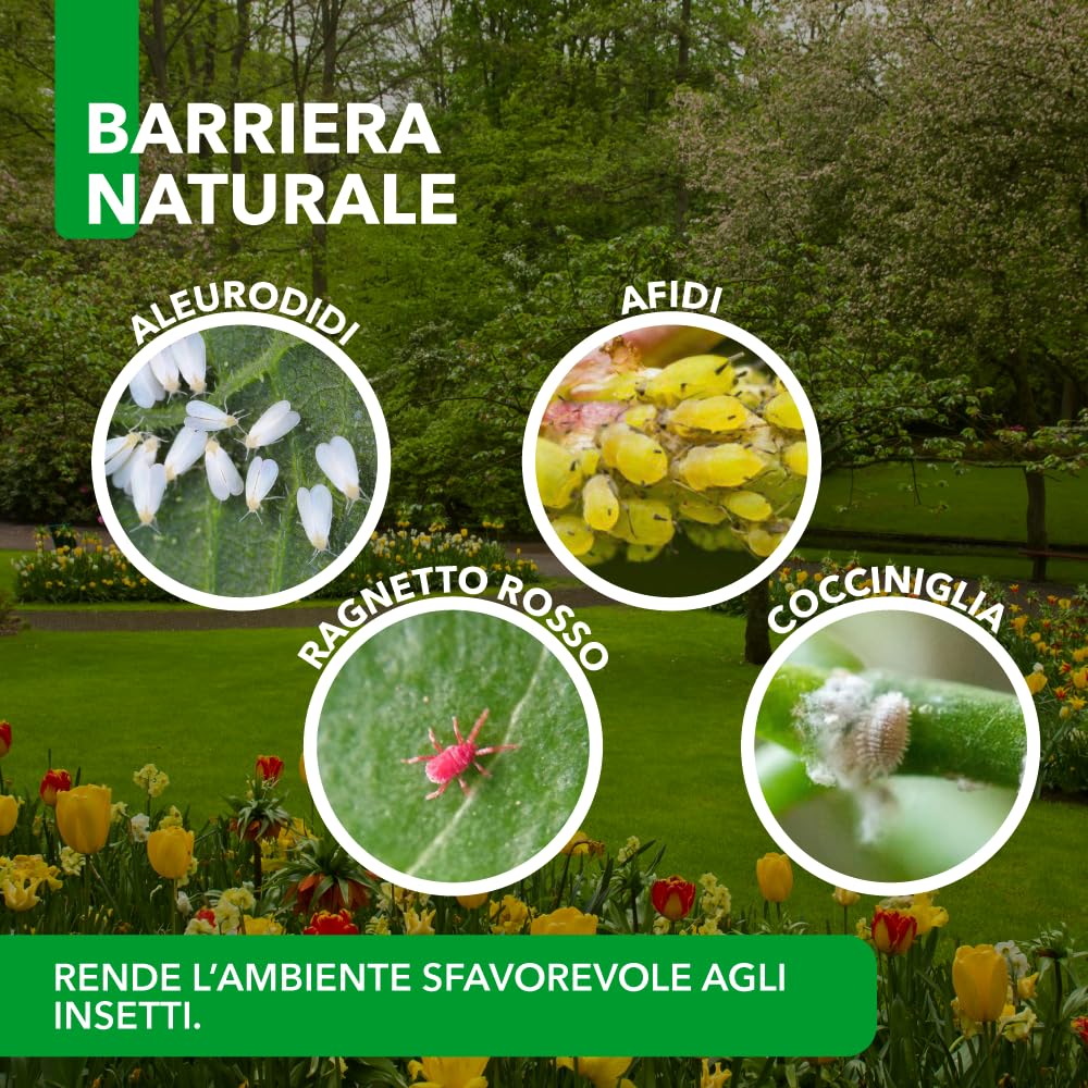 Terre di Diatomee BioNee – Corroborante Naturale per Piante – Uso Orto e Giardino 1 kg