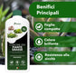 BioNee Concime Biologico per Piante Grasse 1L – Nutrimento Naturale per Cactus e Succulente | Favorisce Colori Intensi, Foglie Lucide e Crescita Armoniosa
