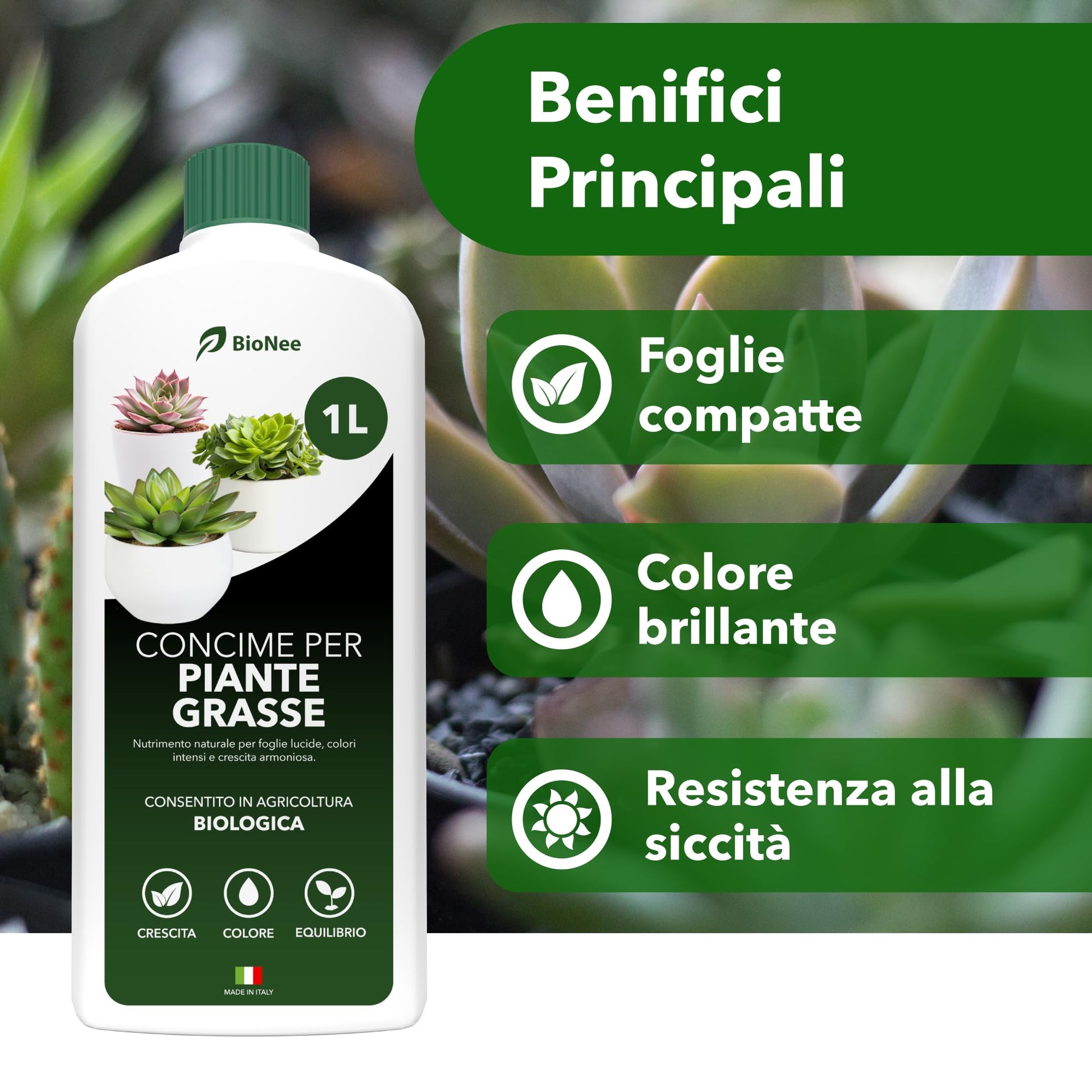 BioNee Concime Biologico per Piante Grasse 1L – Nutrimento Naturale per Cactus e Succulente | Favorisce Colori Intensi, Foglie Lucide e Crescita Armoniosa
