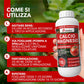 BioNee Calcio Magnesio – Correttivo Liquido Calcio/Magnesio Concentrato per Squilibri Nutrizionali, Supporto Fisiopatie (Marciume Apicale, Tip Burn)