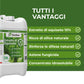 Estratto di Equiseto | Prodotto Naturale Concentrato Idrosolubile | Azione Fungicida Preventiva | Per Orto, Frutteto e Colture Biologiche (5 litri)