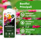 BioNee Concime Universale Biologico 1L – Nutrimento Naturale per Tutte le Piante | Crescita Equilibrata, Fertilità del Terreno e Colori più Vivi | Consentito in Agricoltura Biologica