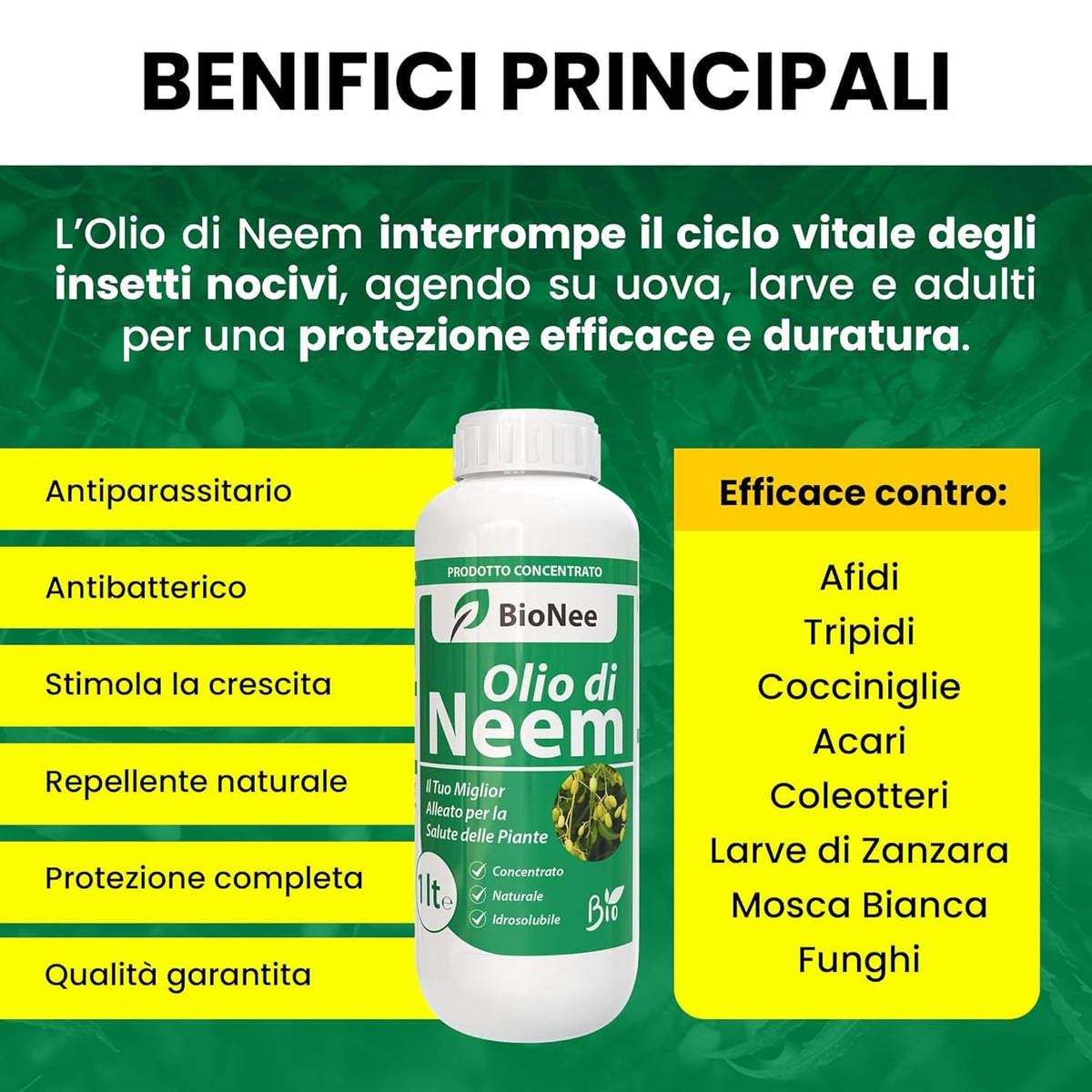 Olio di Neem - insetticida naturale Concentrato - biologico solubile in acqua (1 litro)