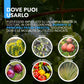 Rame Zolfo Nano Concentrato – Concime Inorganico Liquido-Gel a Base di Rame e Zolfo per Orto e Giardino