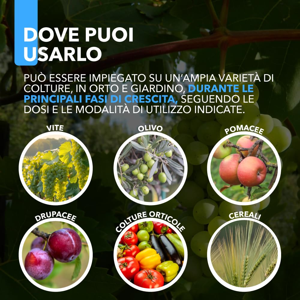 Rame Zolfo Nano Concentrato – Concime Inorganico Liquido-Gel a Base di Rame e Zolfo per Orto e Giardino