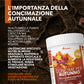 BioNee Concime per Autunno NPK 12-12-17 – Granulare a Lento Rilascio per Orto e Frutteto