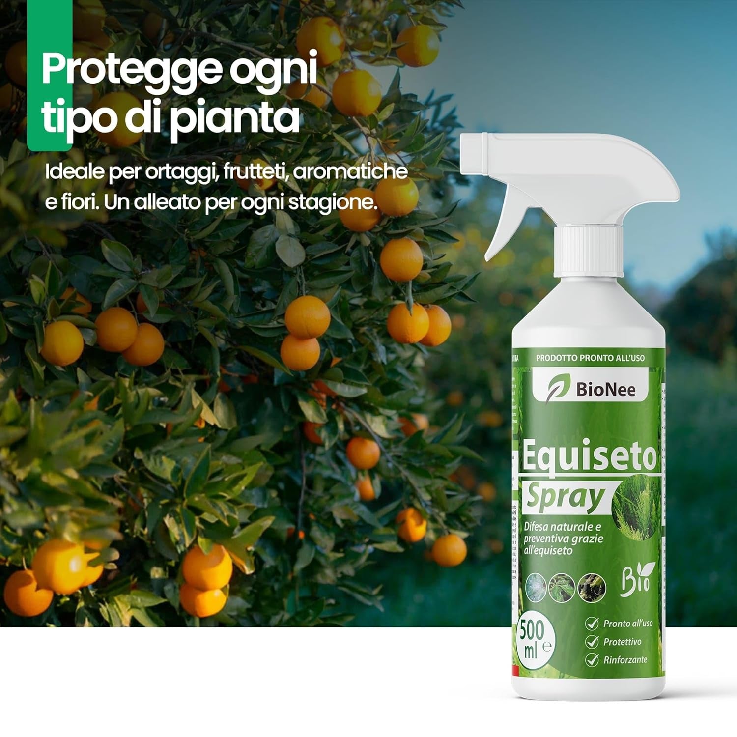 Equiseto Spray 500 Ml | Pronto All’Uso | Protettivo Naturale Preventivo | Difesa Contro Oidio E Peronospora | per Orti, Frutteti E Colture Biologiche