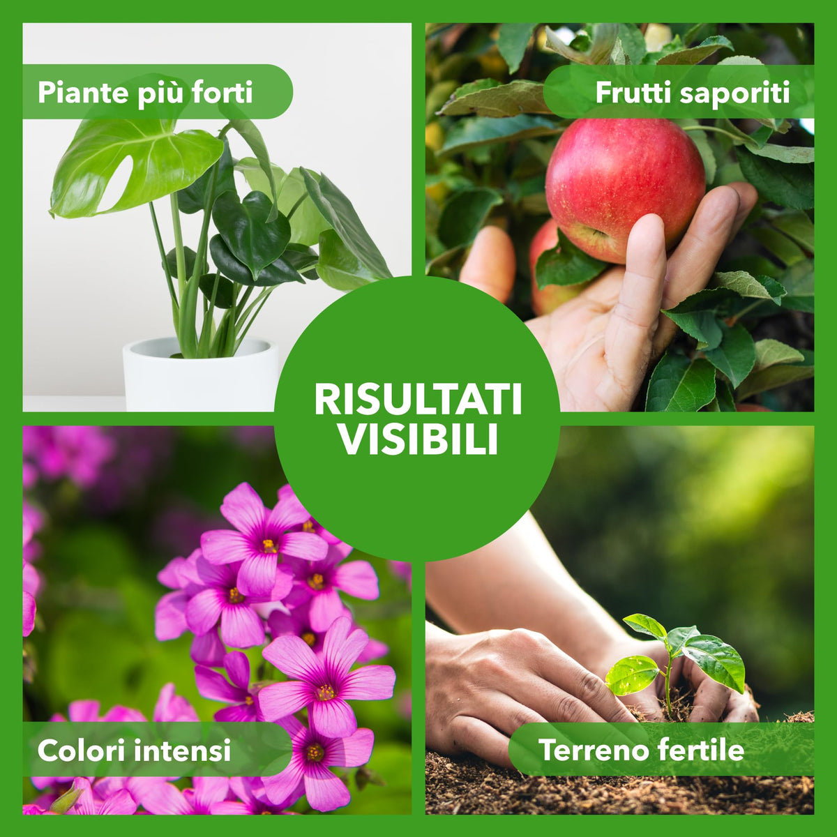 BioNee Concime Universale Biologico 1L – Nutrimento Naturale per Tutte le Piante | Crescita Equilibrata, Fertilità del Terreno e Colori più Vivi | Consentito in Agricoltura Biologica