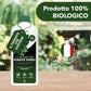 BioNee Concime Biologico per Piante Verdi 1L – Nutrimento Naturale per Foglie Lucide e Colori Intensi | Stimola Crescita e Vitalità delle Piante da Interno ed Esterno
