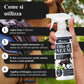 Bionee Olio di Neem Spray Cavalli 500 ml – Lozione Naturale Pronta all’Uso, Azione Protettiva contro Insetti e Parassiti, Non Unge, Delicato sul Manto, Idrosolubile