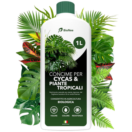 Concime per Cycas e Piante Tropicali Biologico 1L – Nutrimento Naturale per Fogliame Lucente e Verde Intenso | Crescita Equilibrata e Piante Forti | Consentito in Agricoltura Biologica