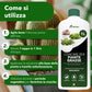 BioNee Concime Biologico per Piante Grasse 1L – Nutrimento Naturale per Cactus e Succulente | Favorisce Colori Intensi, Foglie Lucide e Crescita Armoniosa