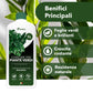 BioNee Concime Biologico per Piante Verdi 1L – Nutrimento Naturale per Foglie Lucide e Colori Intensi | Stimola Crescita e Vitalità delle Piante da Interno ed Esterno
