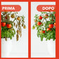 BioNee Concime Biologico per Pomodori 1L – Nutrimento Naturale per Piante Produttive e Frutti Carnosi | Esalta Colore, Gusto e Vigore | Consentito in Agricoltura Biologica