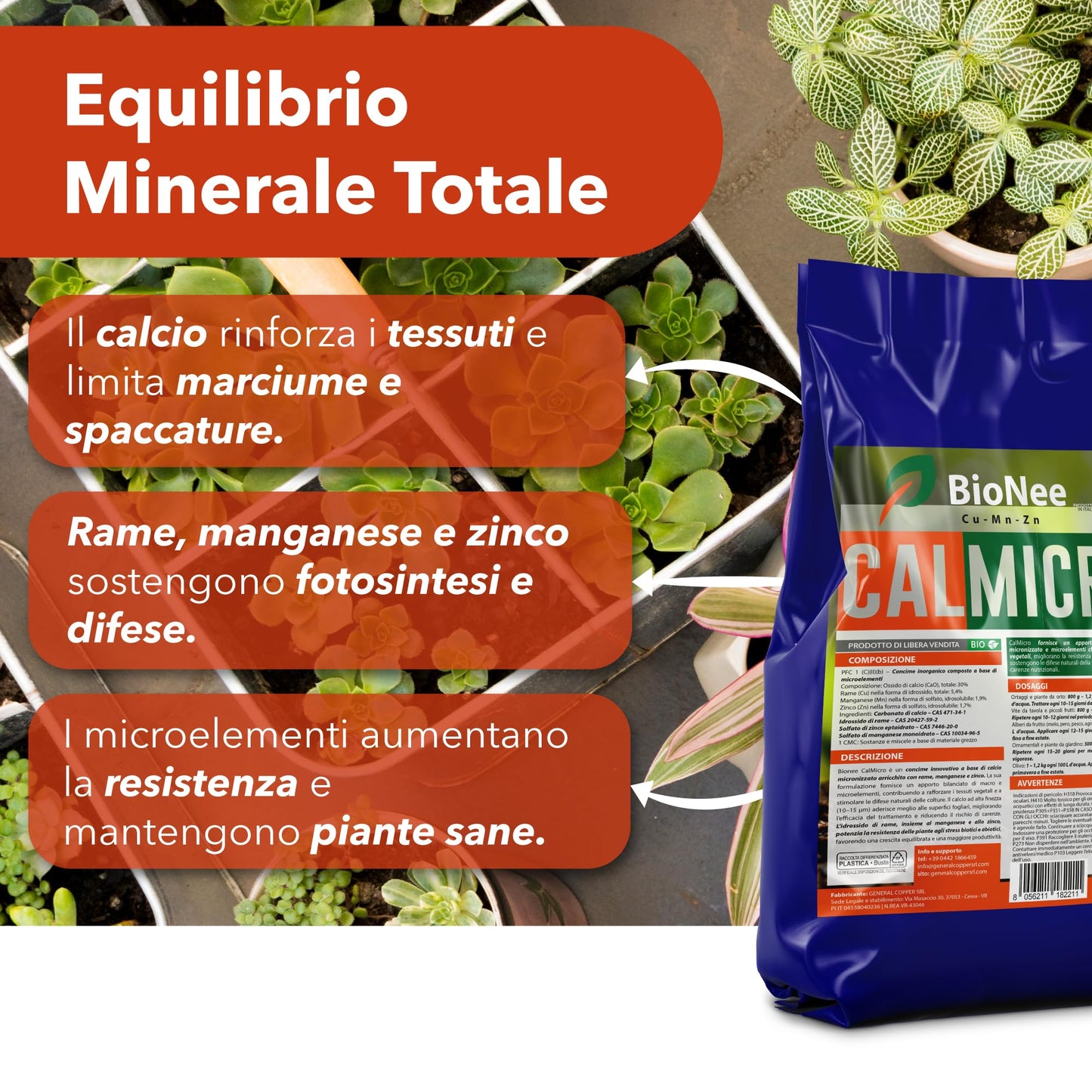 Bionee CalMicro 1 Kg – Concime a Base di Calcio Micronizzato con Rame, Manganese e Zinco | Rafforza i Tessuti Vegetali e Protegge da Stress Ambientali | Per Orto, Frutteto, Vite e Piante Ornamentali