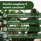 BioNee Concime Biologico per Piante Verdi 1L – Nutrimento Naturale per Foglie Lucide e Colori Intensi | Stimola Crescita e Vitalità delle Piante da Interno ed Esterno
