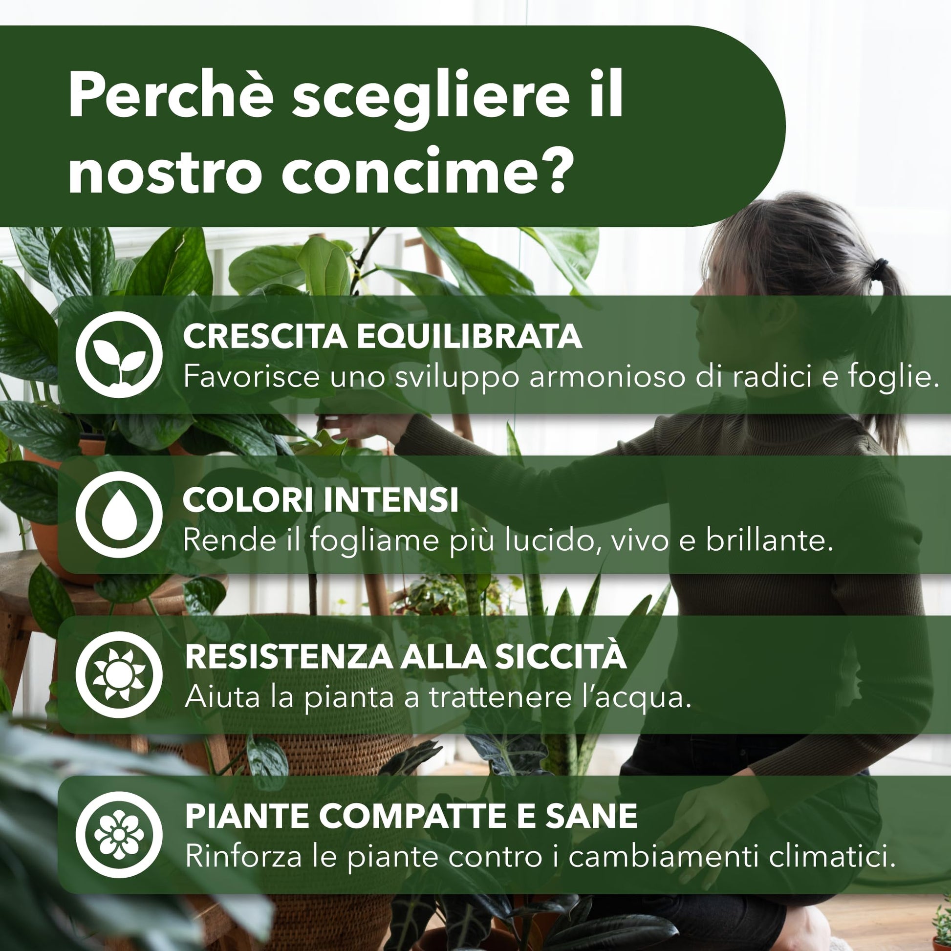 BioNee Concime Biologico per Piante Verdi 1L – Nutrimento Naturale per Foglie Lucide e Colori Intensi | Stimola Crescita e Vitalità delle Piante da Interno ed Esterno
