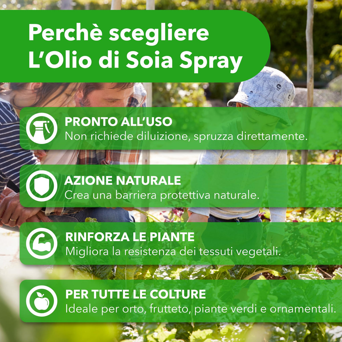 BioNee Olio Bianco di Soia Spray 1l – Protettivo Naturale per Piante, Rinforzante e Lucidante Fogliare – Pronto all’Uso