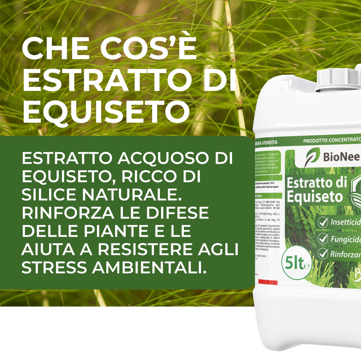Estratto di Equiseto | Prodotto Naturale Concentrato Idrosolubile | Azione Fungicida Preventiva | Per Orto, Frutteto e Colture Biologiche (5 litri)