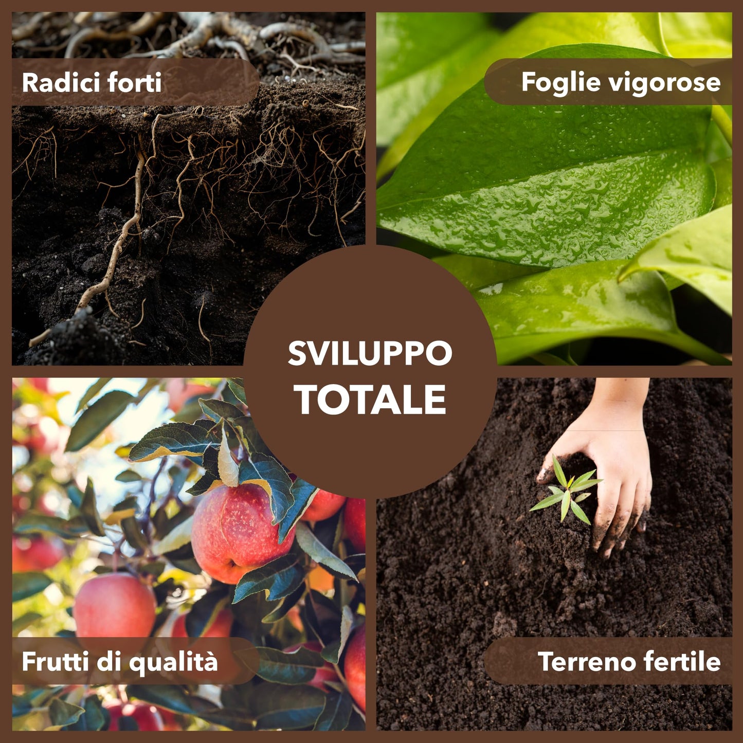 Concime Universale Organico Liquido – Ricco di Aminoacidi – Uso Radicale e Fogliare – Consentito in Agricoltura Biologica – Nutriente per Piante Vigorose (5 litri)