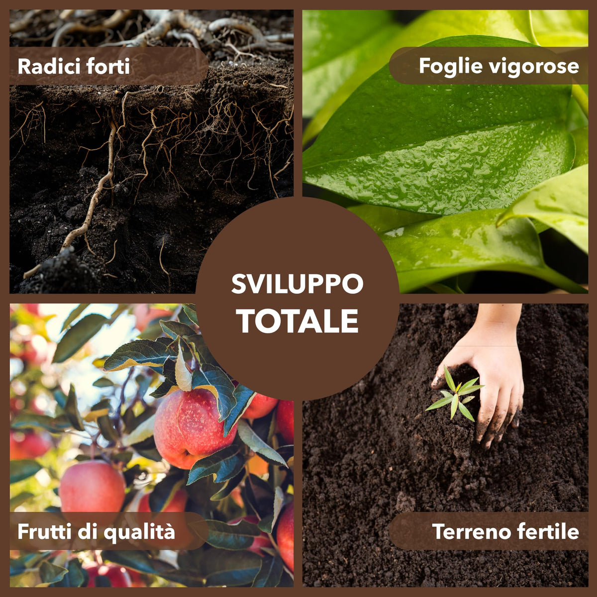 Concime Universale Organico Liquido – Ricco di Aminoacidi – Uso Radicale e Fogliare – Consentito in Agricoltura Biologica – Nutriente per Piante Vigorose (5 litri)