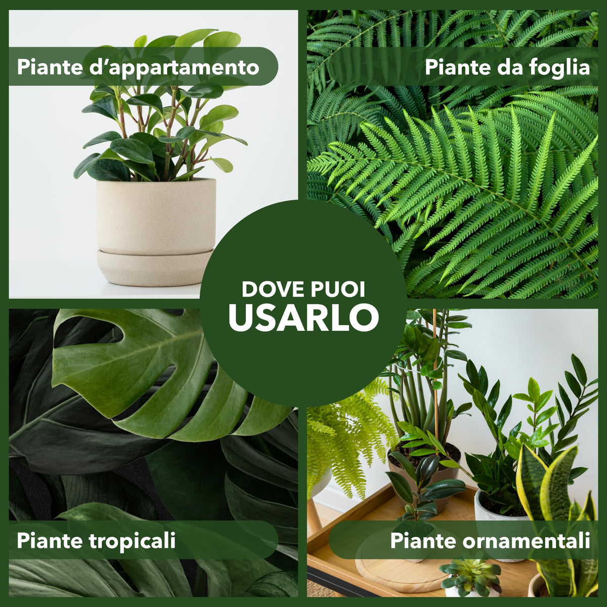 BioNee Concime Biologico per Piante Verdi 1L – Nutrimento Naturale per Foglie Lucide e Colori Intensi | Stimola Crescita e Vitalità delle Piante da Interno ed Esterno