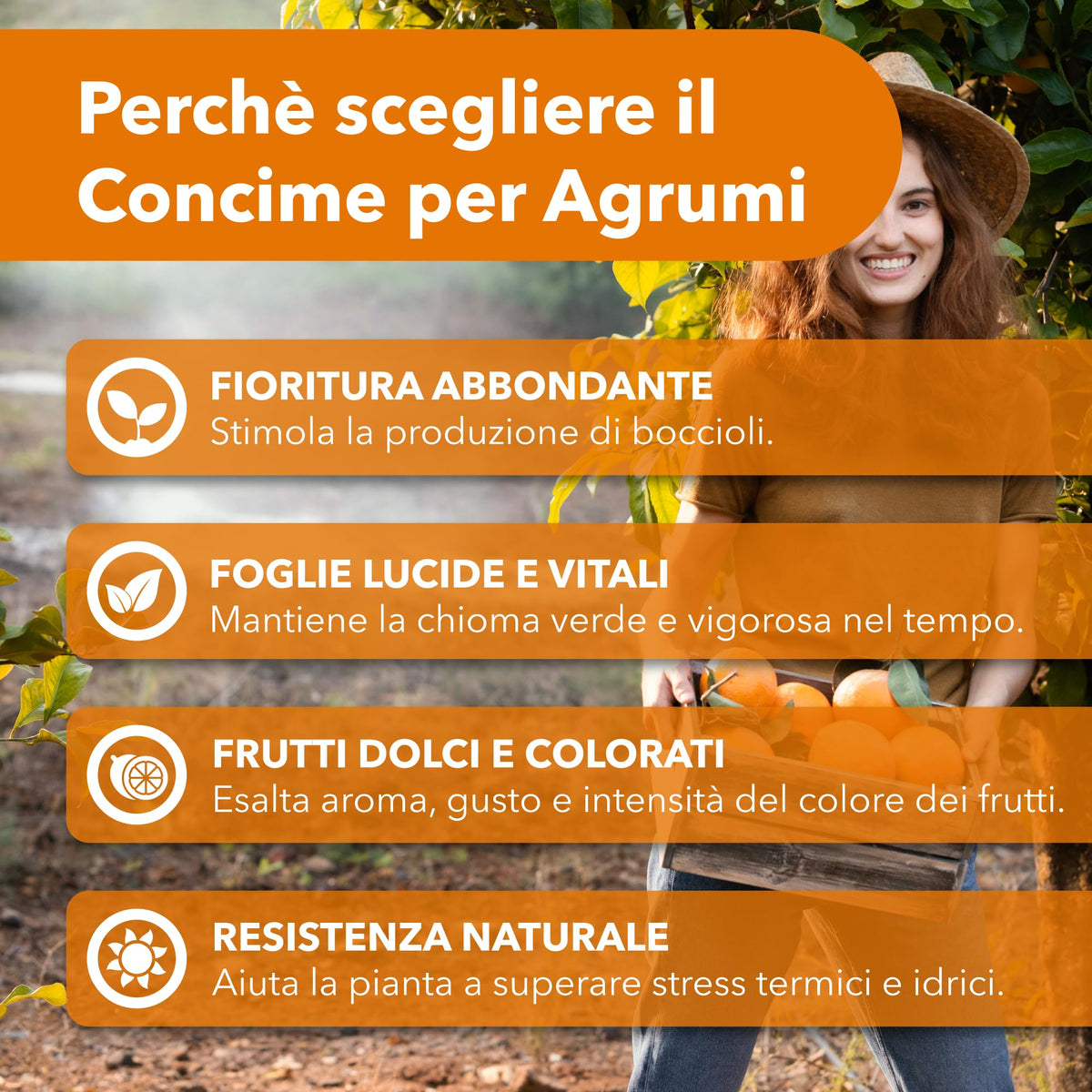 BioNee Concime per Agrumi Biologico 1L – Nutrimento Naturale per Limoni, Aranci e Mandarini | Rafforza le Radici, Esalta Aroma e Colore dei Frutti | Consentito in Agricoltura Biologica