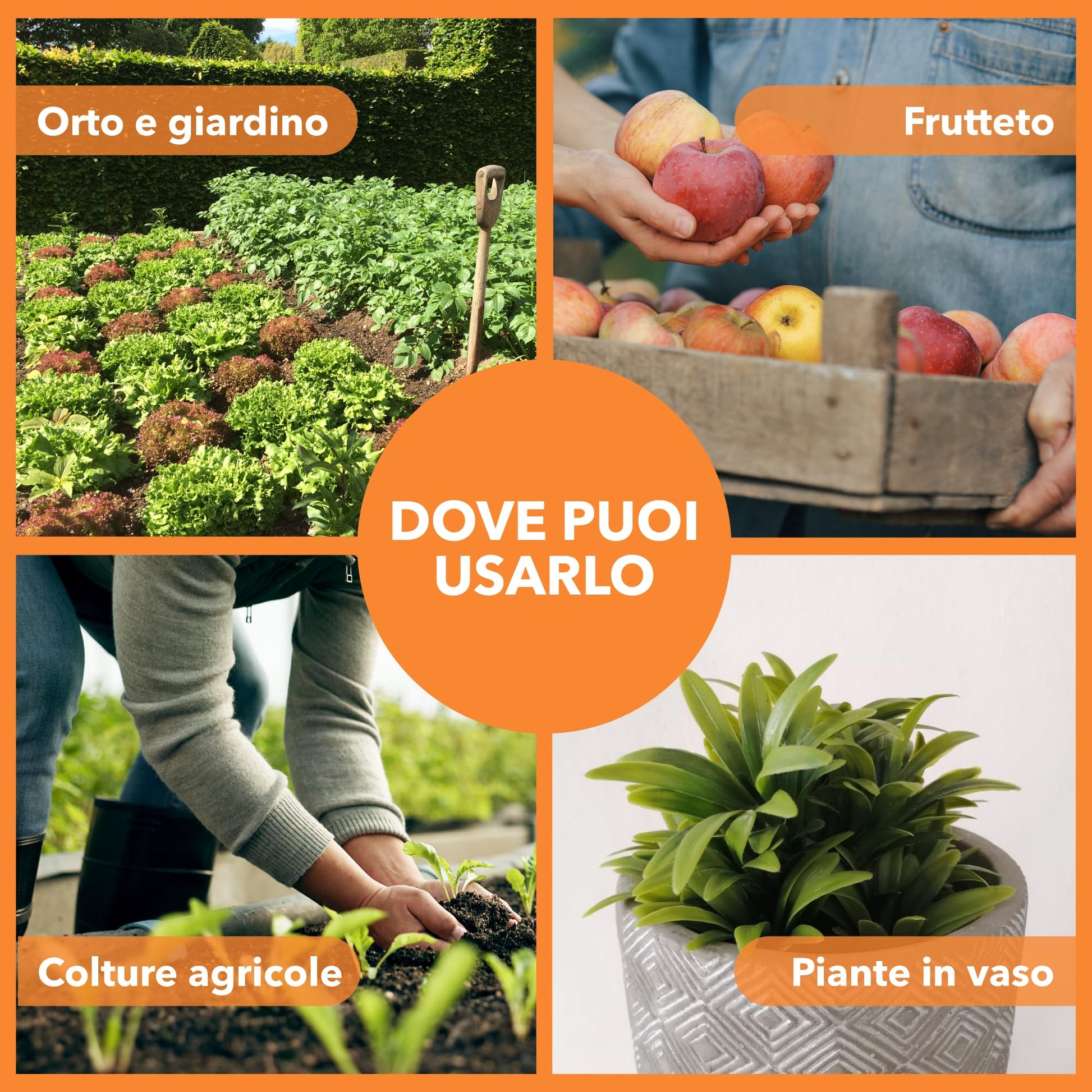 BioNee Olio di Soia Concentrato – Corroborante Naturale Vegetale per Piante Forti e Resistenti | Potenziatore delle Difese Naturali | Concentrato Idrosolubile (5 litri)