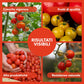 BioNee Concime Biologico per Pomodori 1L – Nutrimento Naturale per Piante Produttive e Frutti Carnosi | Esalta Colore, Gusto e Vigore | Consentito in Agricoltura Biologica