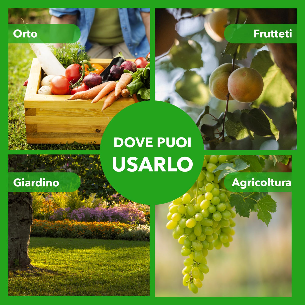 BioNee Olio Bianco di Soia Spray 1l – Protettivo Naturale per Piante, Rinforzante e Lucidante Fogliare – Pronto all’Uso